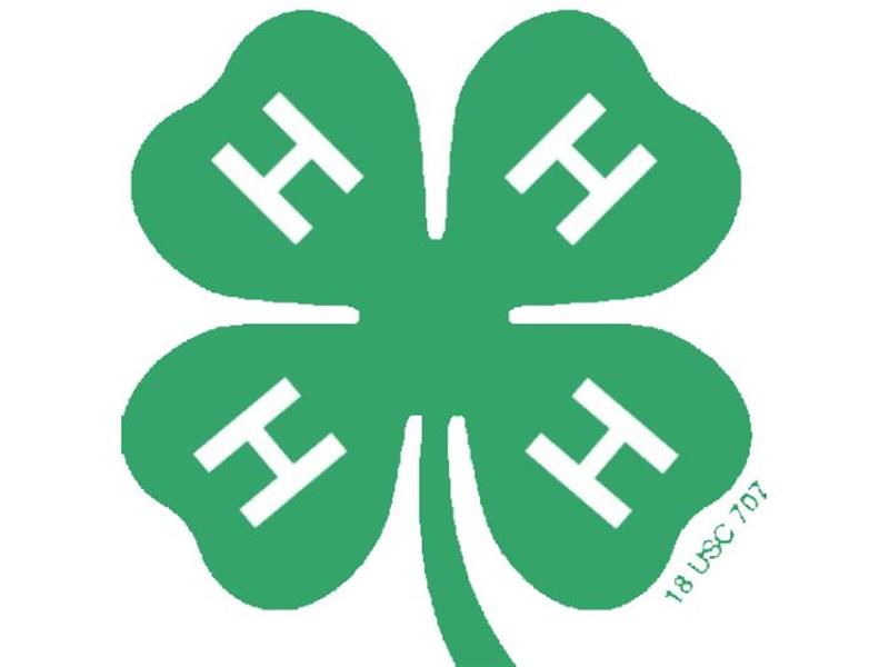 Logo for 2026 Turner County Fair